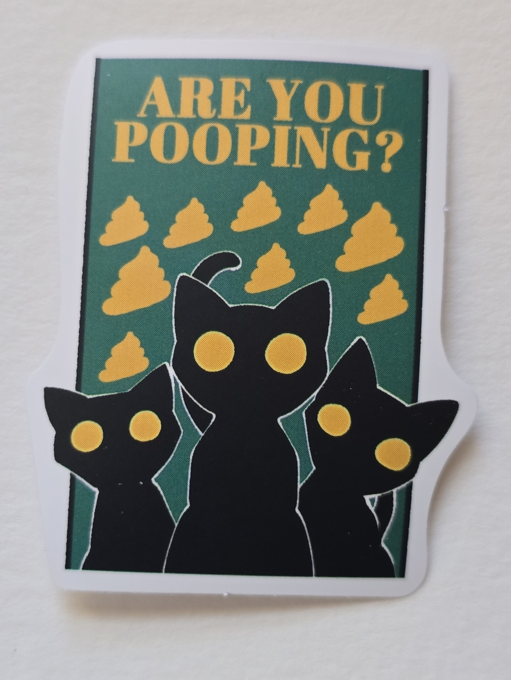 10/$10 Are You Pooping? Cat Sticker